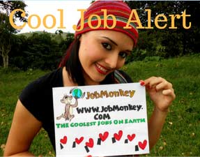 Find Cool Jobs Button